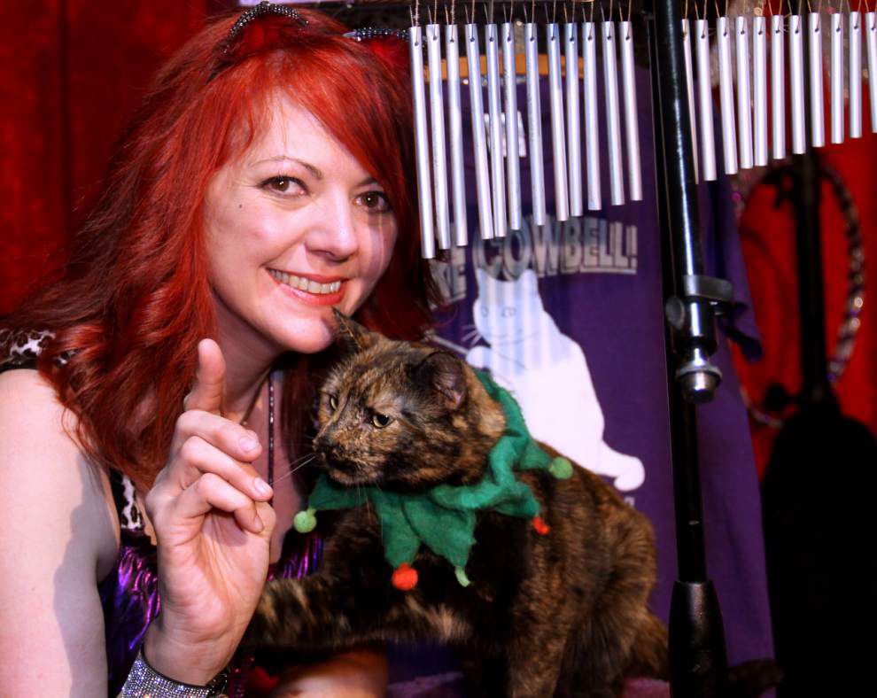 Steven Forster’s Party Central: Amazing Acro-Cats _lowres