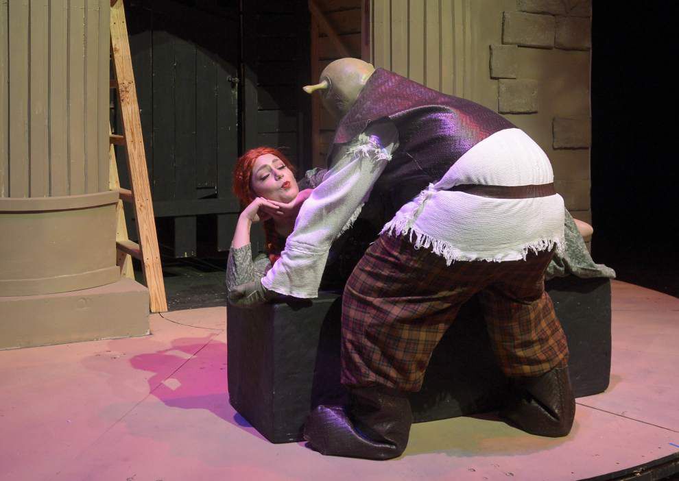 Happily Ogre After Playmakers Brings Shrek Fiona And Donkey To