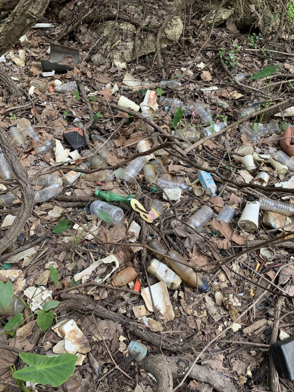 Baton Rouge We Have A Problem Litter Home Garden Theadvocate Com