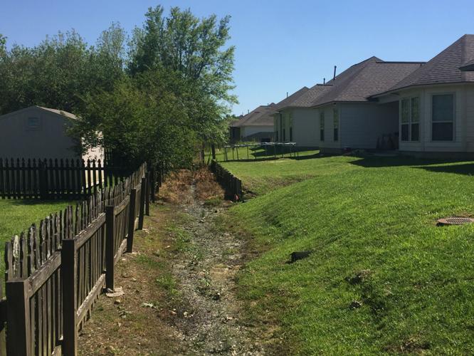 Dutchtown_Meadows.041819.JPG