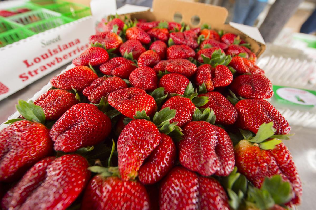 Louisiana's 'berry belt' shrinking as aging strawberry farmers leave the land Communities