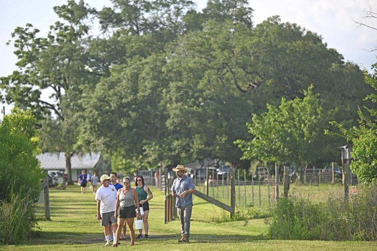 New pricing at Waughsome Farm makes picking fruit fair | Baton Rouge ...