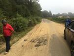 Gravel trucks washed out a brand-new road. A parish and a landowner are pointing fingers