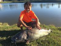 Geismar 9 Year Old Hooks 70 Pound Catfish In Subdivision Pond On
