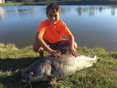Geismar 9 Year Old Hooks 70 Pound Catfish In Subdivision Pond On
