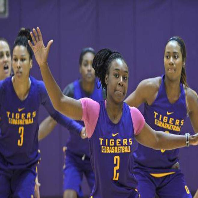 Lsu Women S Basketball Team To Sport Different Look This Season