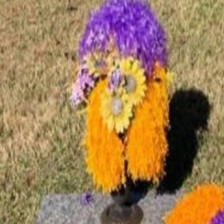 Lsu Fan Honors Her Dad By Planting Tiger Stadium Sod At His Grave He Was Everything Lsu Lsu Theadvocate Com