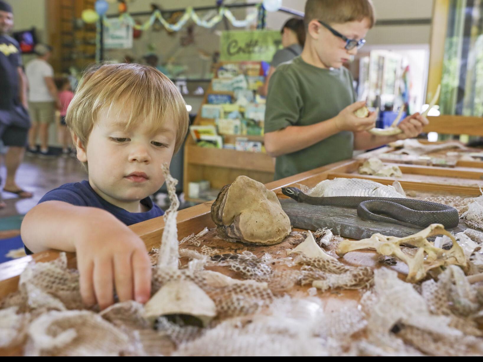 Kids can play with the stars June 25 at free Saints & Pelicans