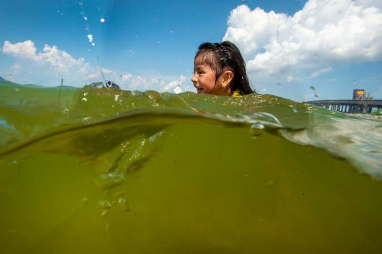 Warning for Lake Pontchartrain over potential harmful algae