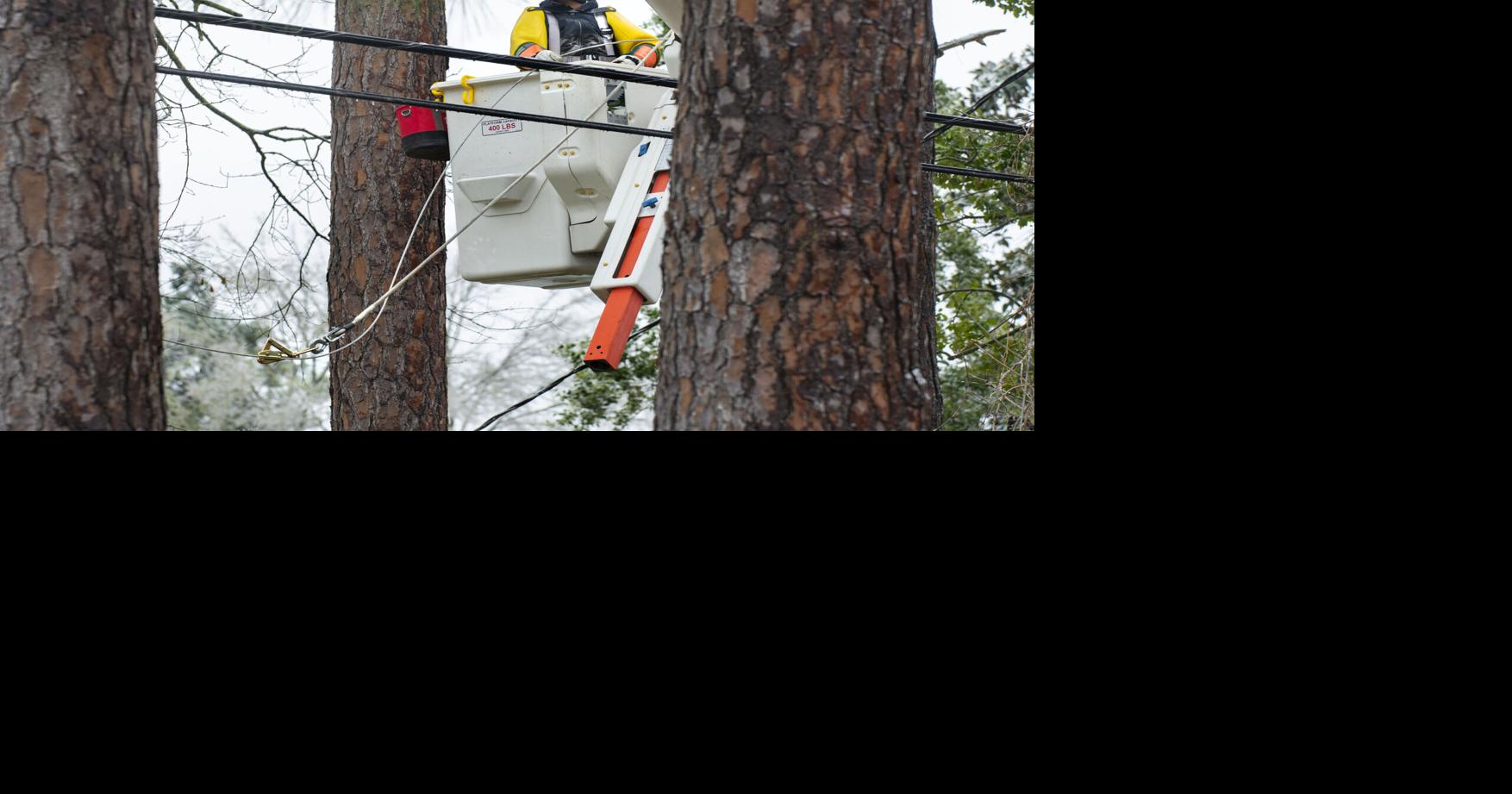 Why power companies don't expect big outages from cold snap | News ...