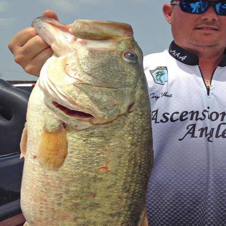 Corey Wheat Enhances Big Bass Reputation Louisiana Outdoors
