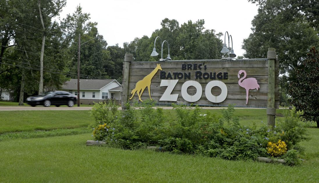 Opposition to moving Baton Rouge Zoo leads to unlikely alliance News