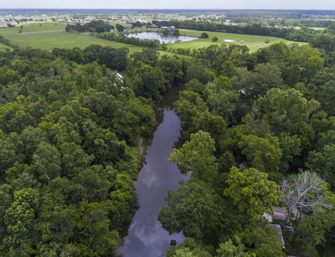 BR.mancha.adv 004 MJ.JPG