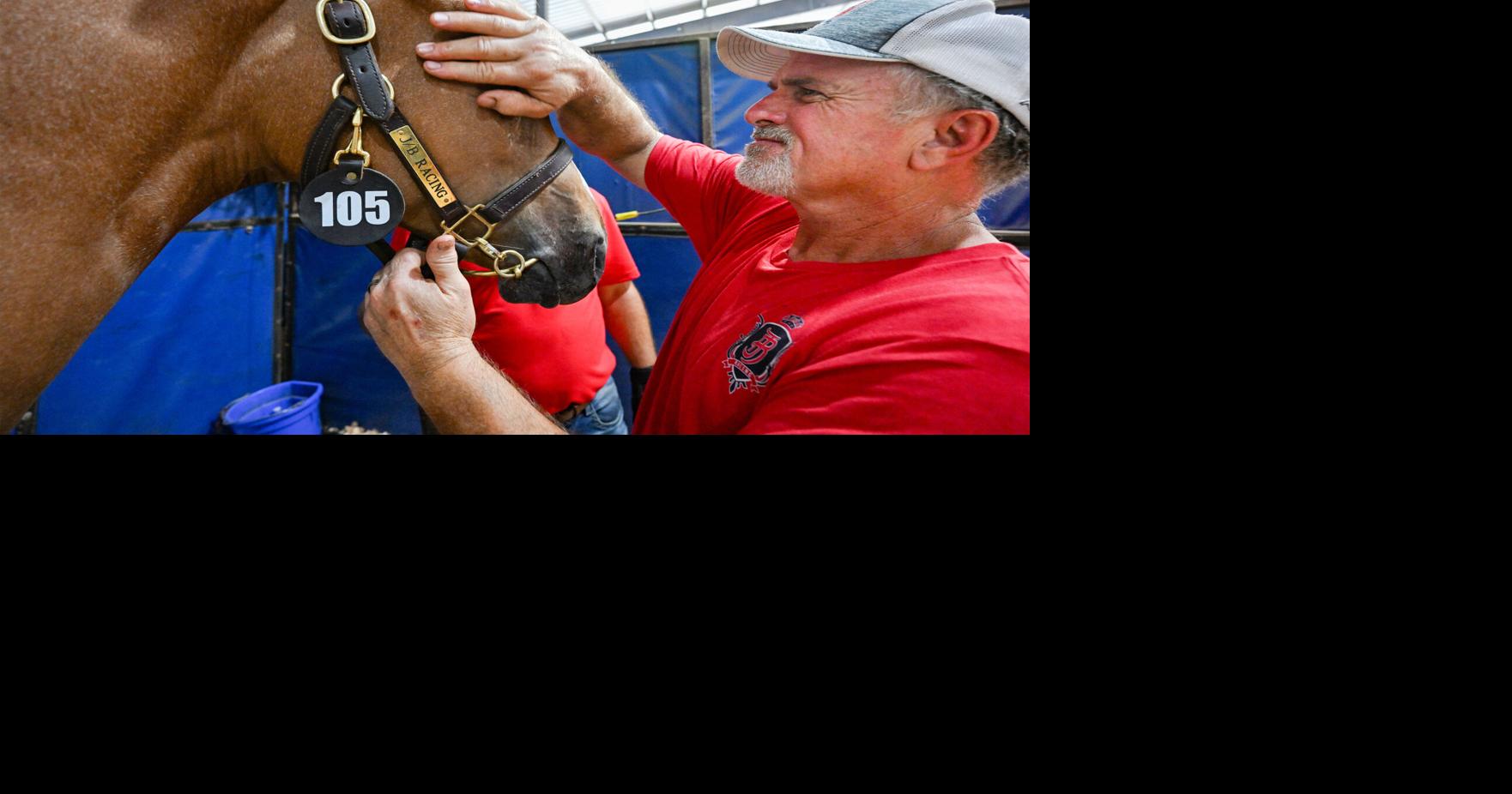 Photos: 50th Annual Louisiana Bred Yearling Sale