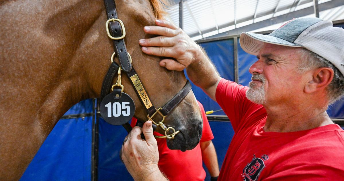 Photos: 50th Annual Louisiana Bred Yearling Sale