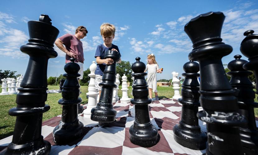 ACA.wildchess.adv.007.jpg