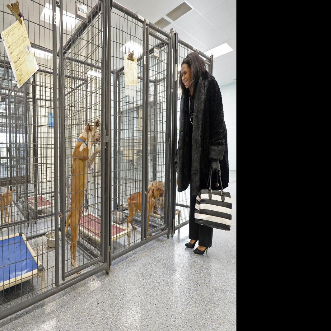 New Director Hired For Baton Rouge Animal Shelter Embroiled In Animal Abuse Allegations News Theadvocate Com