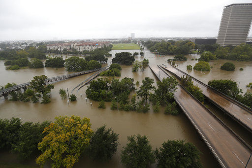 Southern Drinking Club Hang in There Houston - Help Out The Flood Victims of Hurricane Harvey MD / Navy