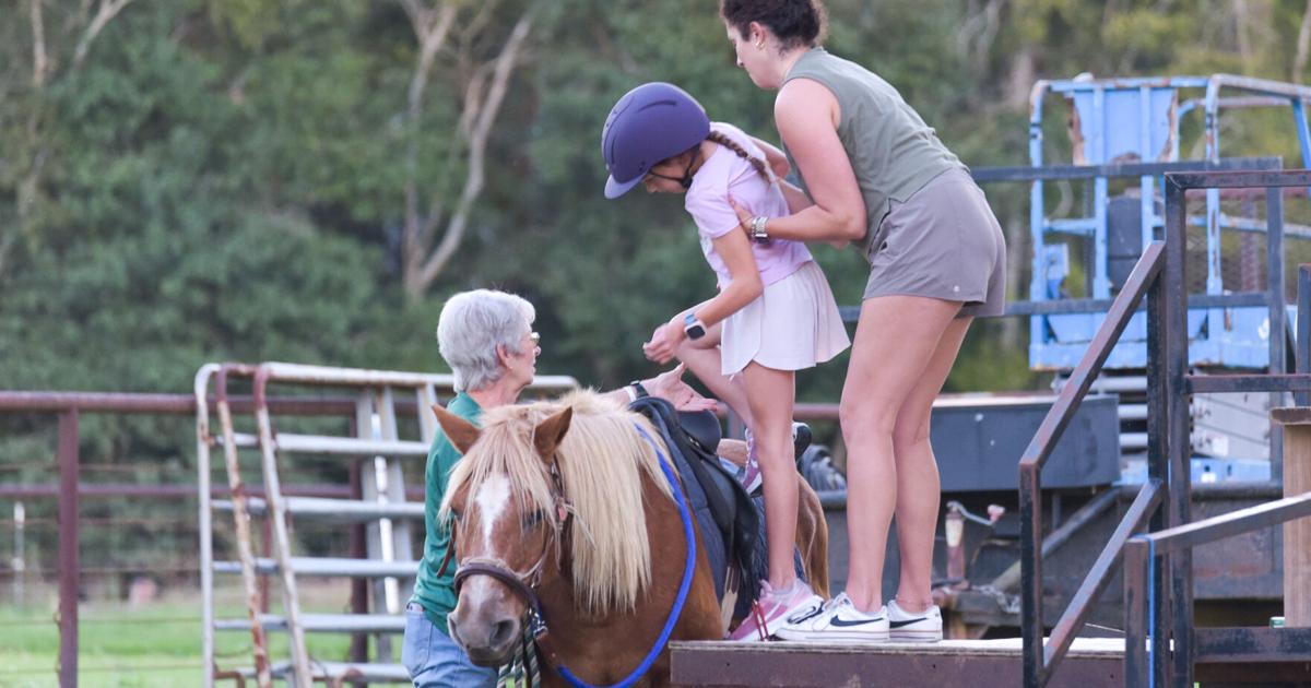 Photos: The Acadiana Therapeutic Riding Organization offers therapeutic ...