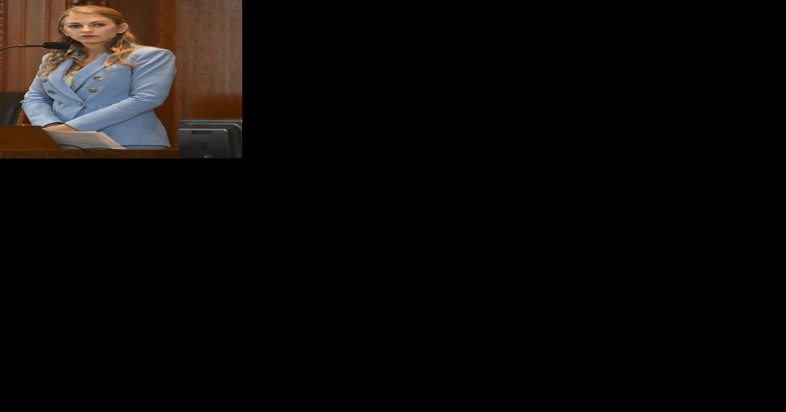 Katie Bernhardt face challenge to head Louisiana Democrats | State Politics - Vimarsana News