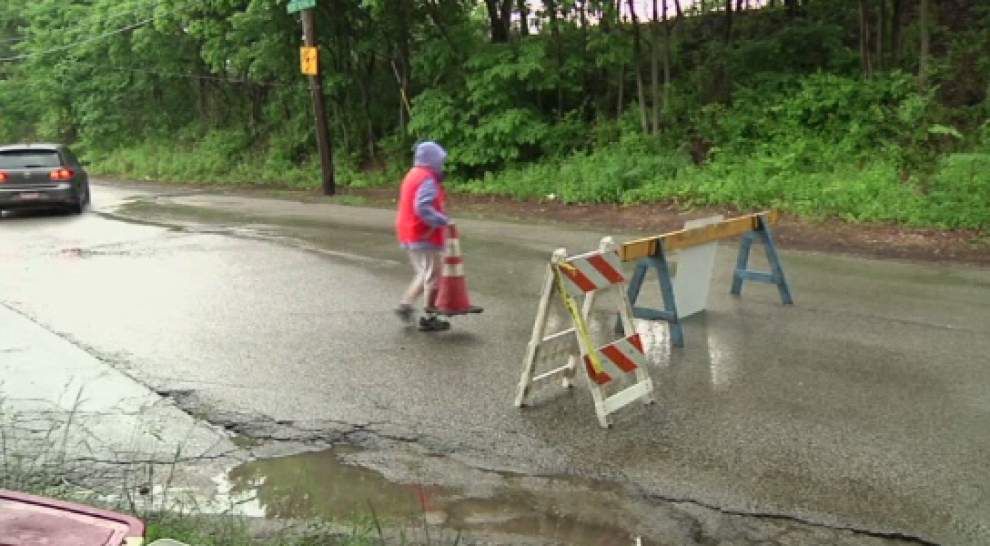 Detour lets baby toads cross the road in Philly _lowres