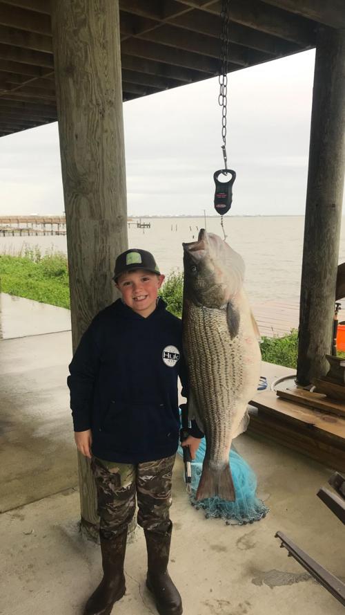 A Sea Monster Tale On South Louisiana Lake How An 8 Year Old