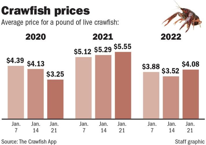 Crawfish outlook 2022 Supply is high, price is good and Hawk's will