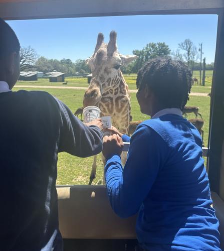 EF STEAM Global Wildlife 3.jpg