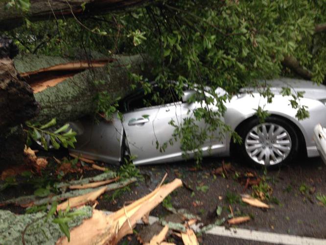 Man escapes death, barely, after tree falls on car during Baton Rouge ...