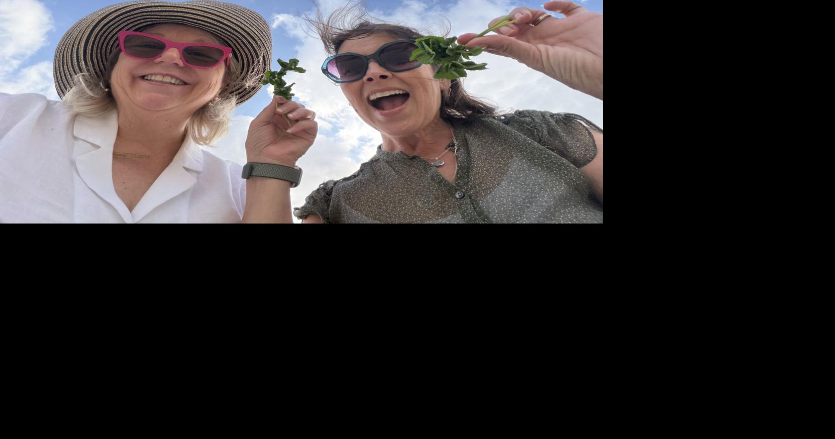 Want to find a four-leaf clover in Louisiana? Here's how (and there really is a trick)