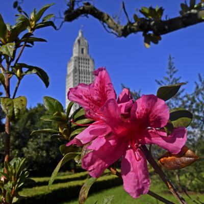 BR.filecapitol.adv HS 004.JPG (copy)