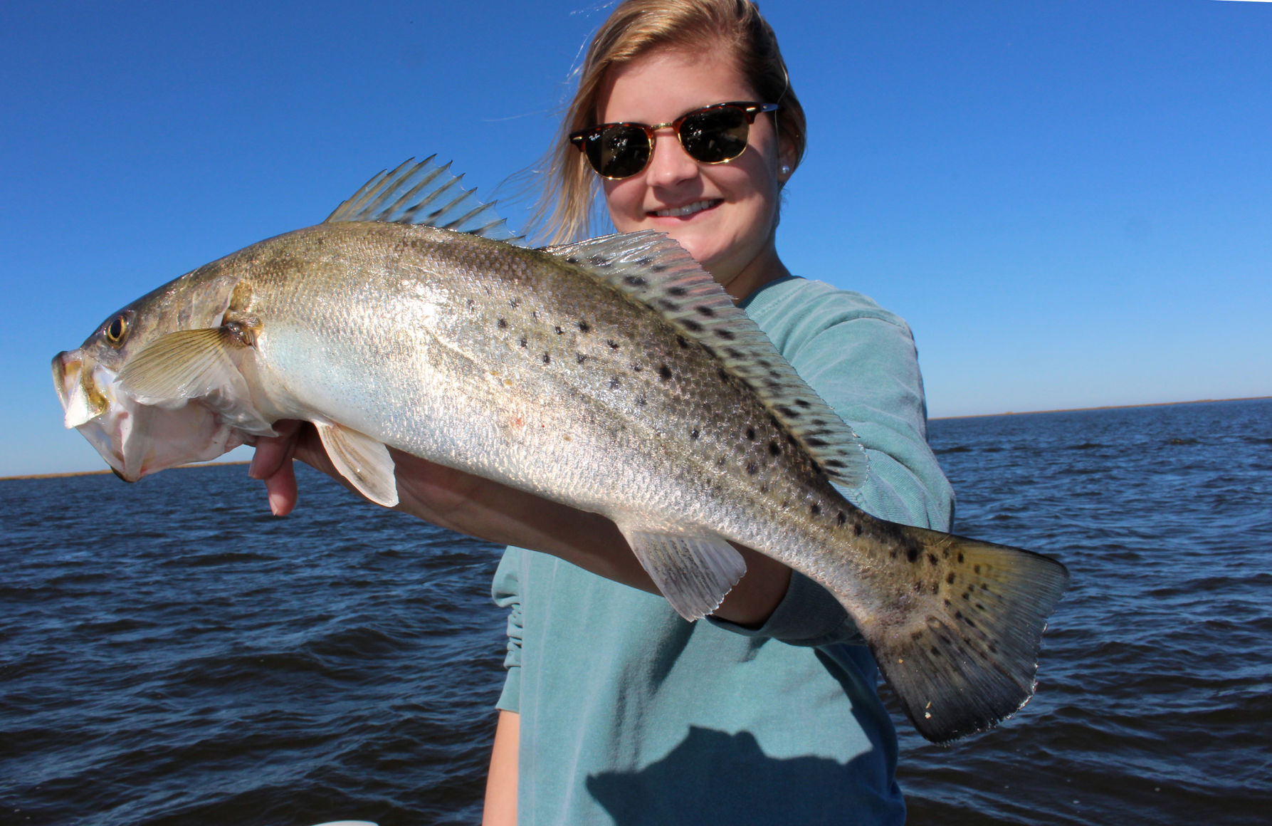 speckled trout