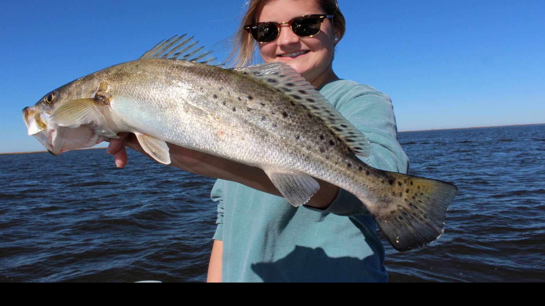 Ldwf Study Suggests Changes Needed In Speckled Trout Management Louisiana Outdoors Theadvocate Com