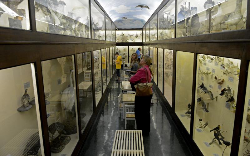 museumnightepl.adv HS 128.JPG