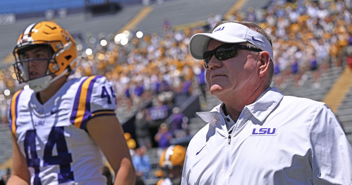 Harrison Ragin LSU to hire South Carolina's Jimmy Lindsey as next DL coach | LSU ...