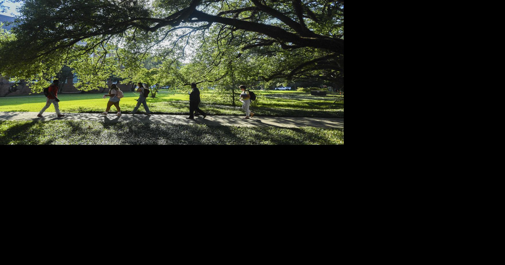 University of Louisiana at Lafayette moves to remote instruction as winter weather moves through