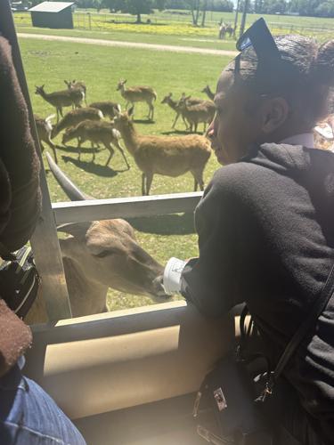 EF STEAM Global Wildlife 2.jpg