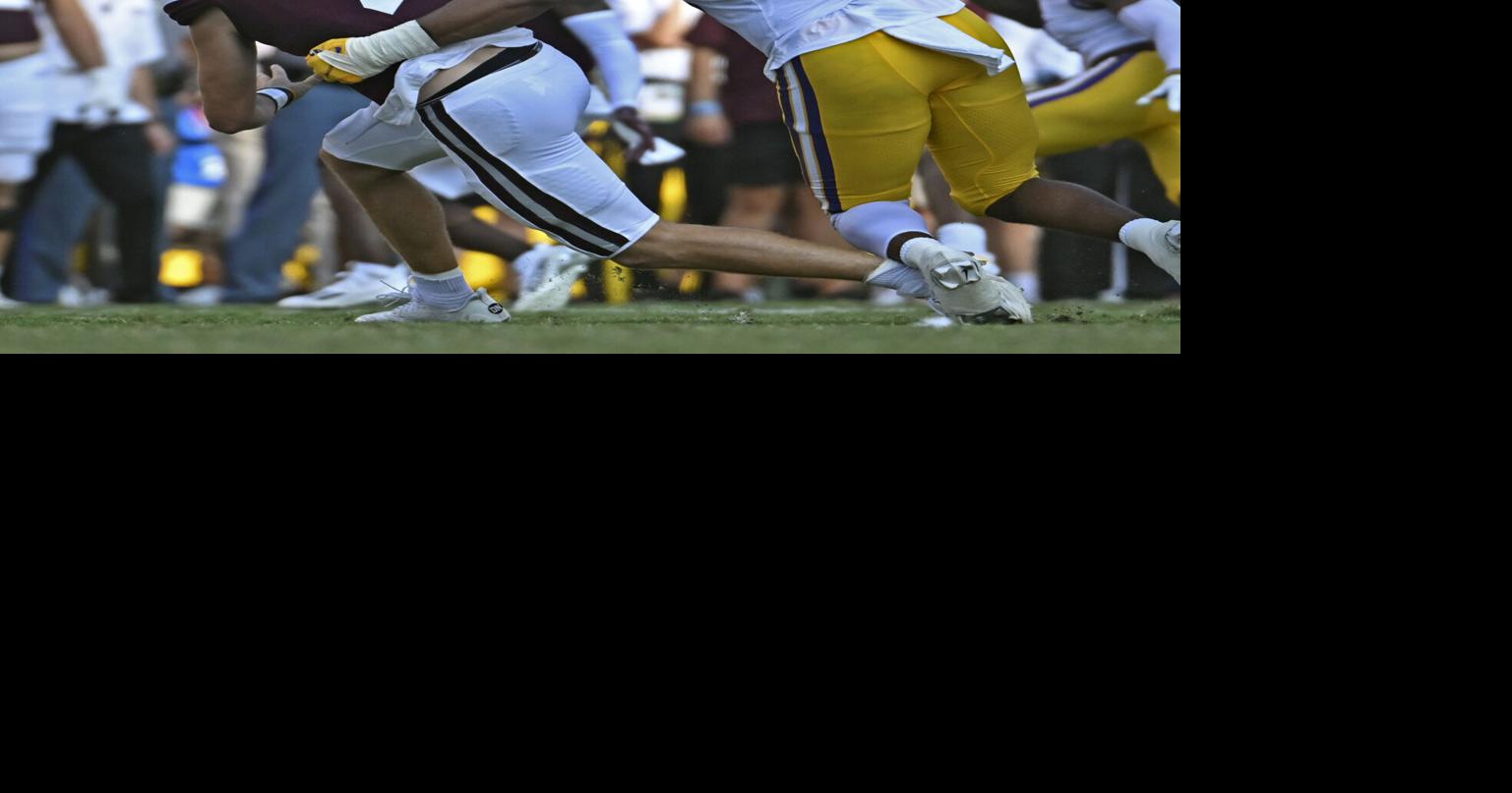 Mississippi State is up next for LSU. Here are the basics on the Bulldogs.