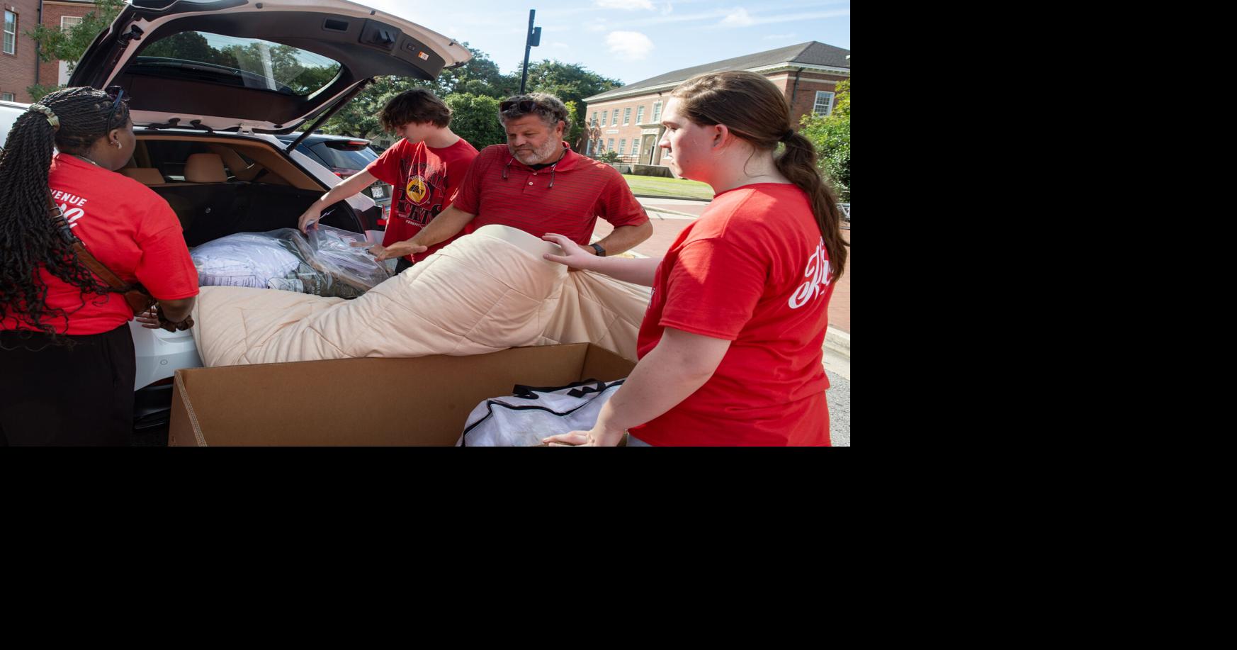 ACA.ulmovein.adv.807.jpg