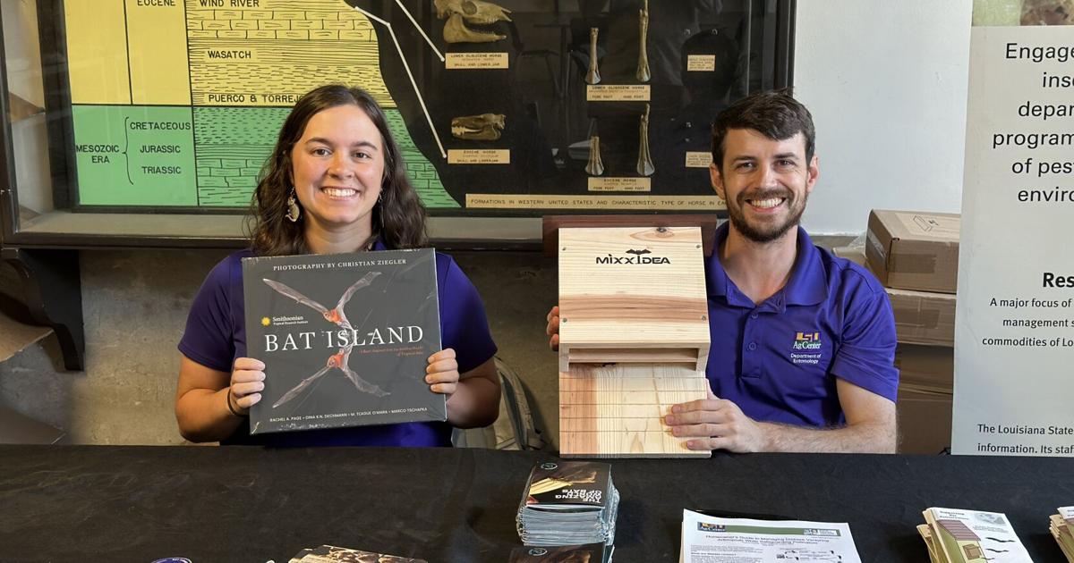 Here’s how to protect the Baton Rouge bat population, plus how they benefit Louisiana yards. Here’s how to protect the Baton Rouge bat population, plus how they benefit Louisiana yards.