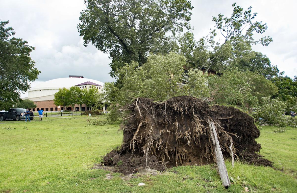 For Many In Acadiana Laura Brought Damages But Not The Likes Of Hurricane Rita In 2005 News Theadvocate Com