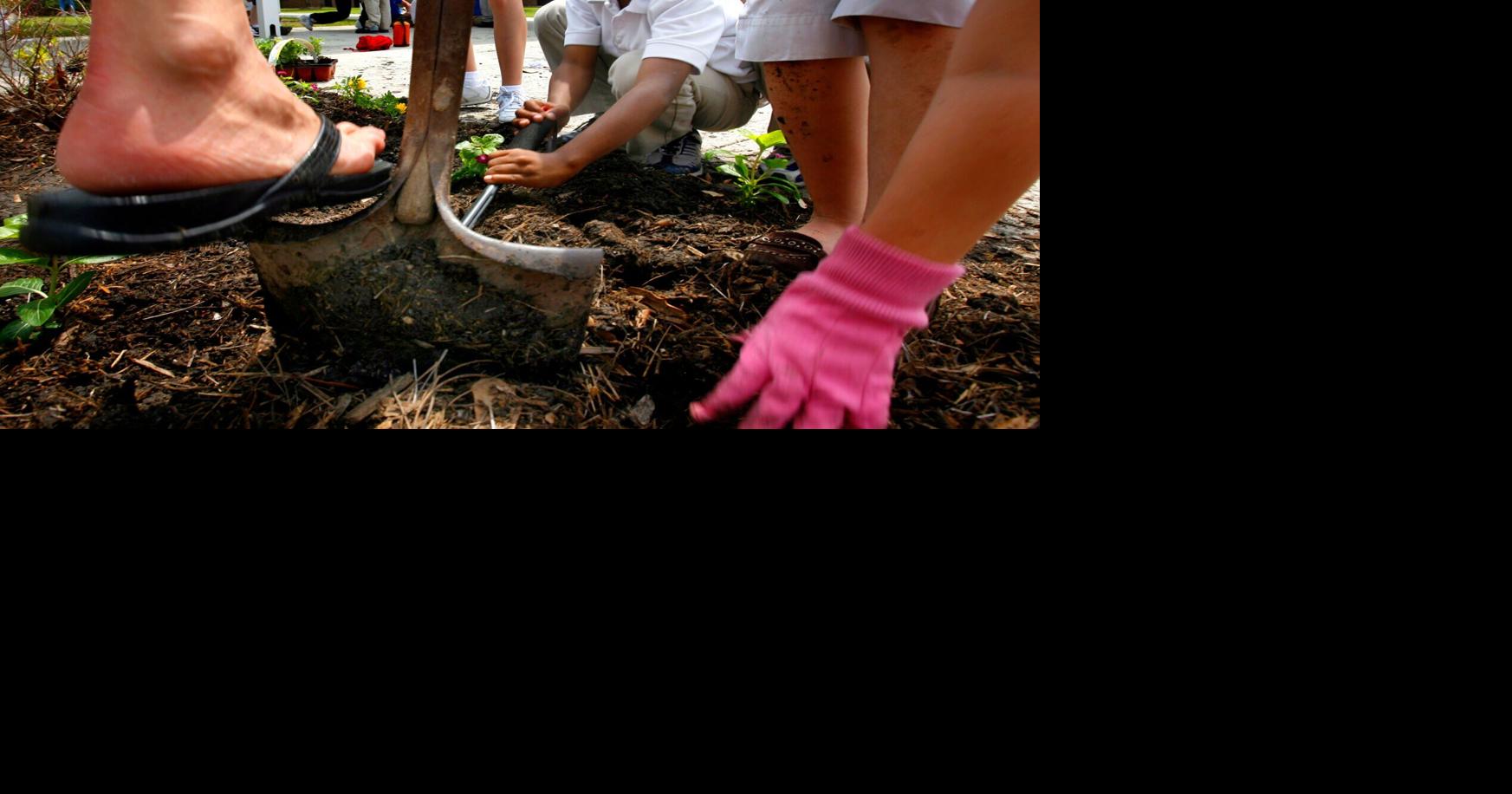 Use these tips to avoid injuries while working in the garden ...