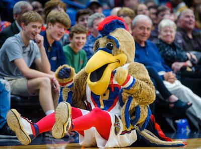 Report: New Orleans Pelicans choose Alabama for new G League team | Pelicans | theadvocate.com