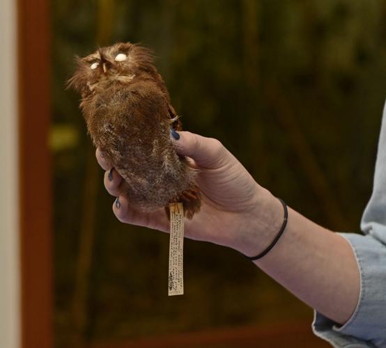 museumnightepl.adv HS 012.JPG