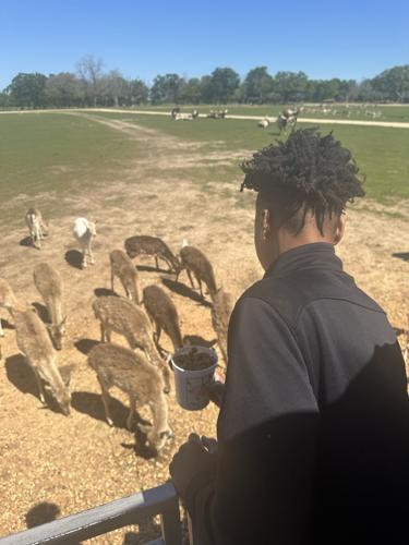 EF STEAM Global Wildlife 1.jpg