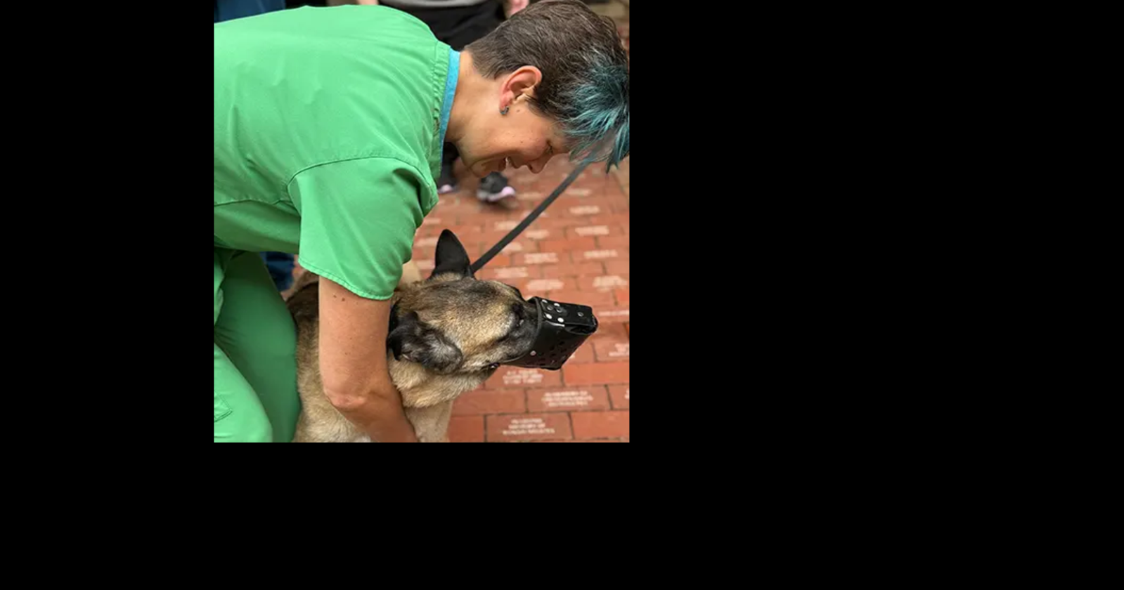 How LSU’s Vet School saved military dog Astra who detected bombs in Iraq