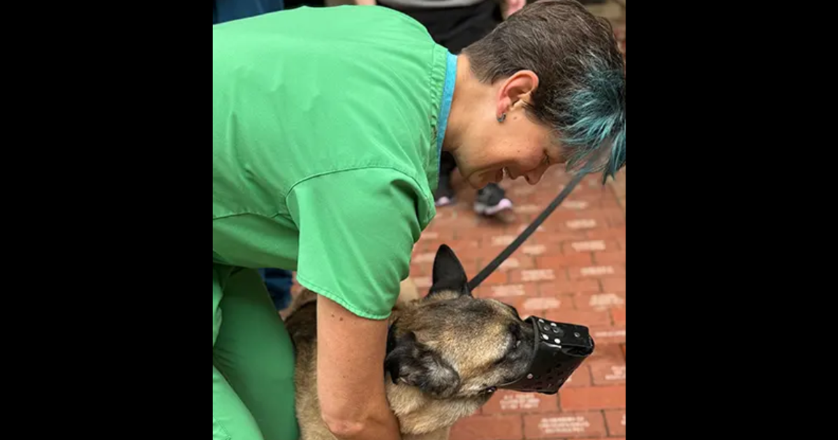 How LSU’s Vet School saved military dog Astra who detected bombs in Iraq