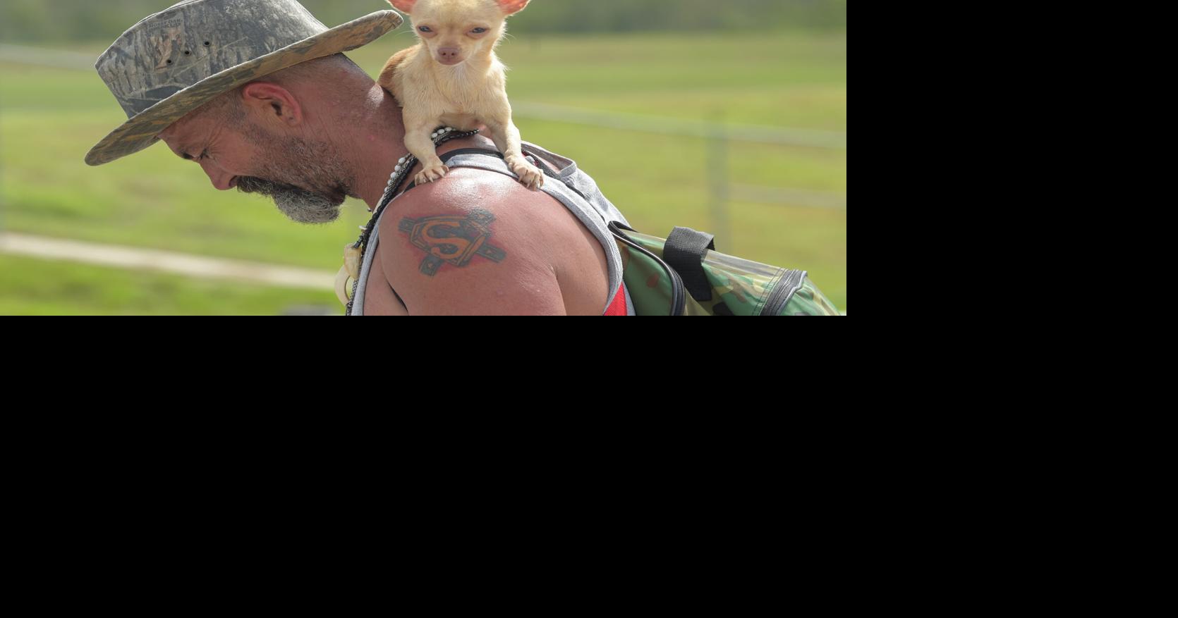 Experts give tips on evacuating safely with pets | Hurricane Center