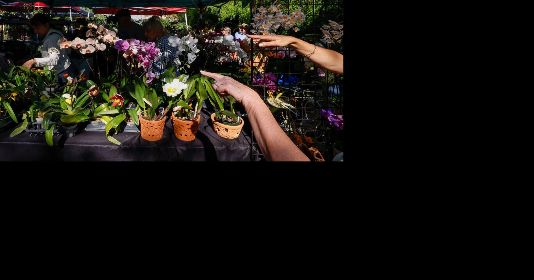 A successful garden starts with education. Learn from the experts at spring garden shows.