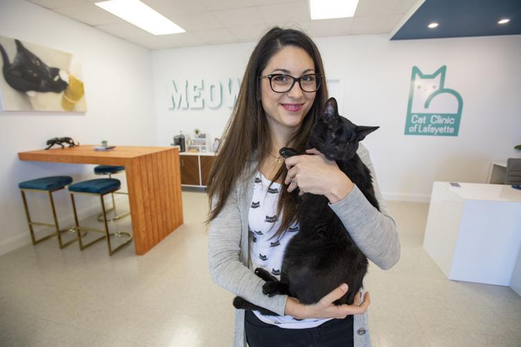 With cat nip and coffee bar, new Lafayette vet will cater to cats and